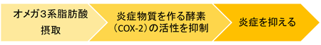 オメガ３系脂肪酸摂取の抗炎症作用