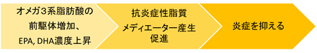 オメガ３系脂肪酸摂取の抗炎症作用